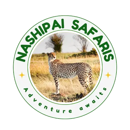 Nashipai Safaris