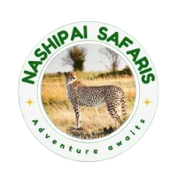 Nashipai Safaris