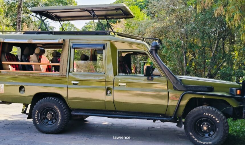 Kenya Safari for Beginners